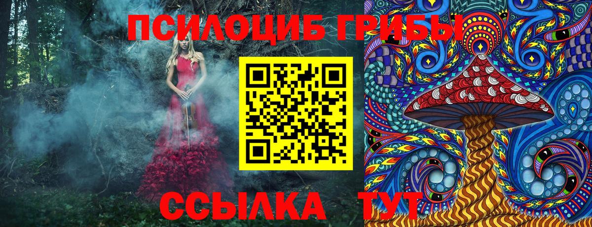 Майский  Галлюциногенные грибы Cubensis  Вход с VPN 